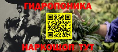 Альфа ПВП Дубна