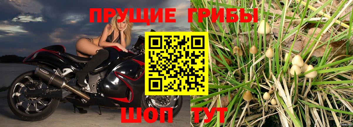 Краснодар  Псилоцибиновые грибы GOLDEN TEACHER  Псилоцибиновые грибы прущие грибы  Вход с VPN 