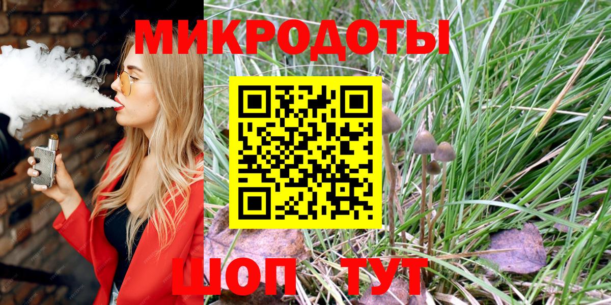 Псилоцибиновые грибы Psilocybine cubensis Краснодар